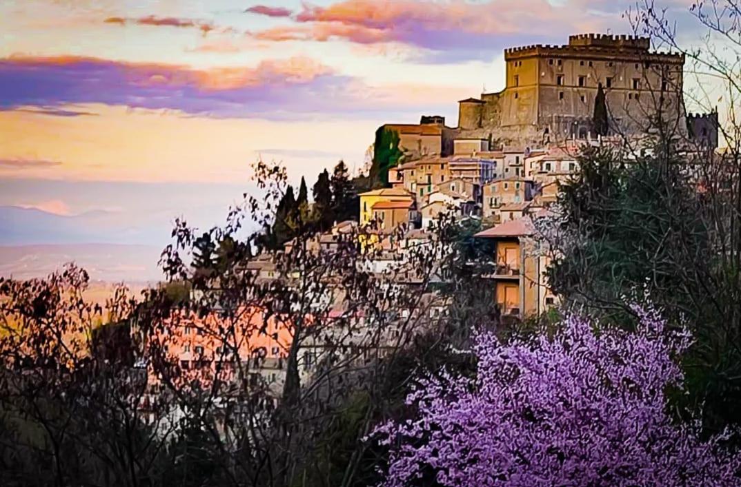Apartmán Casa Divitia Soriano nel Cimino Exteriér fotografie